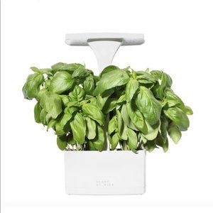 Short Stories LED Indoor Planter with Basil Seeds
